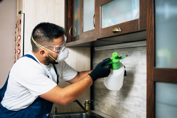 Best Flea Control Services  in Gilcrest, CO