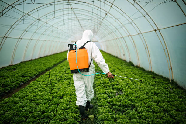 Best Mosquito Control Services  in Gilcrest, CO