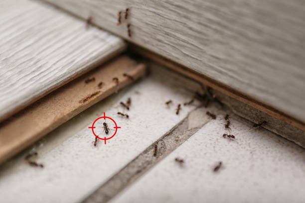Best Commercial Pest Control Services  in Gilcrest, CO