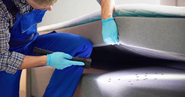 Best Wasp Removal Services  in Gilcrest, CO